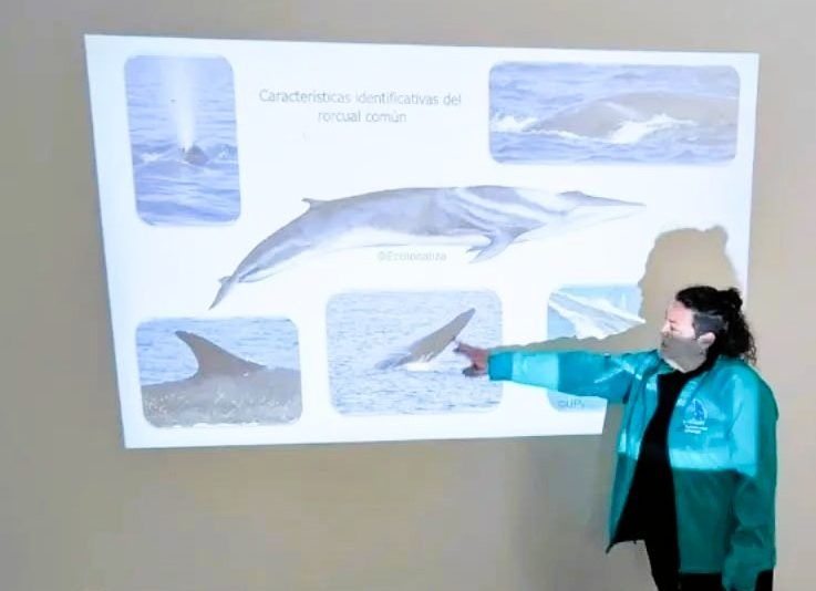 Ecolocaliza reforzará las laboras de investigación marina y las expediciones en el Estrecho Ecolocaliza reforzará las laboras de investigación marina y las expediciones en el Estrecho