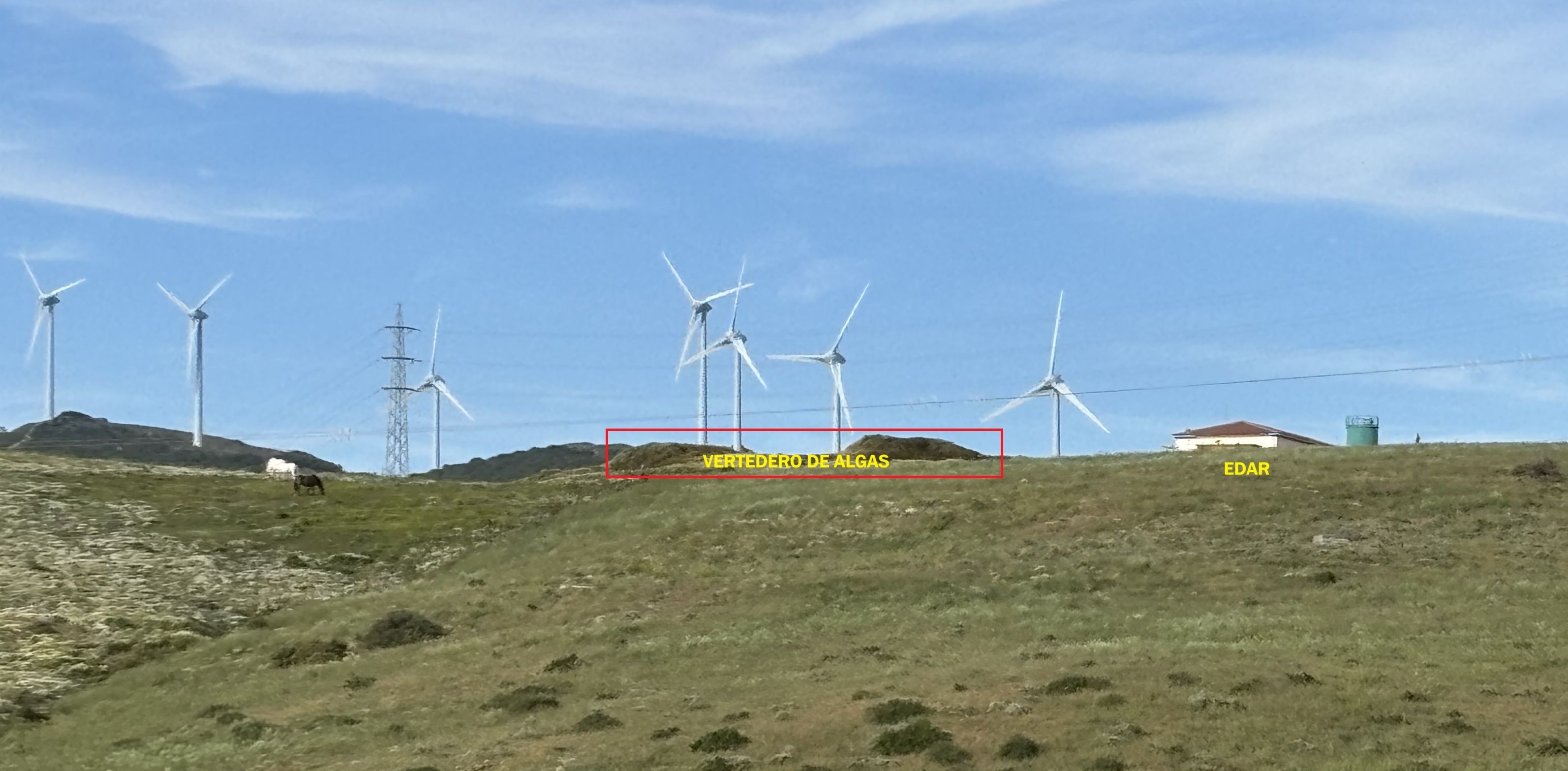 Agaden pide al Ayuntamiento de Tarifa la retirada del vertedero ilegal de algas junto a la depuradora Agaden pide al Ayuntamiento de Tarifa la retirada del vertedero ilegal de algas junto a la depuradora
