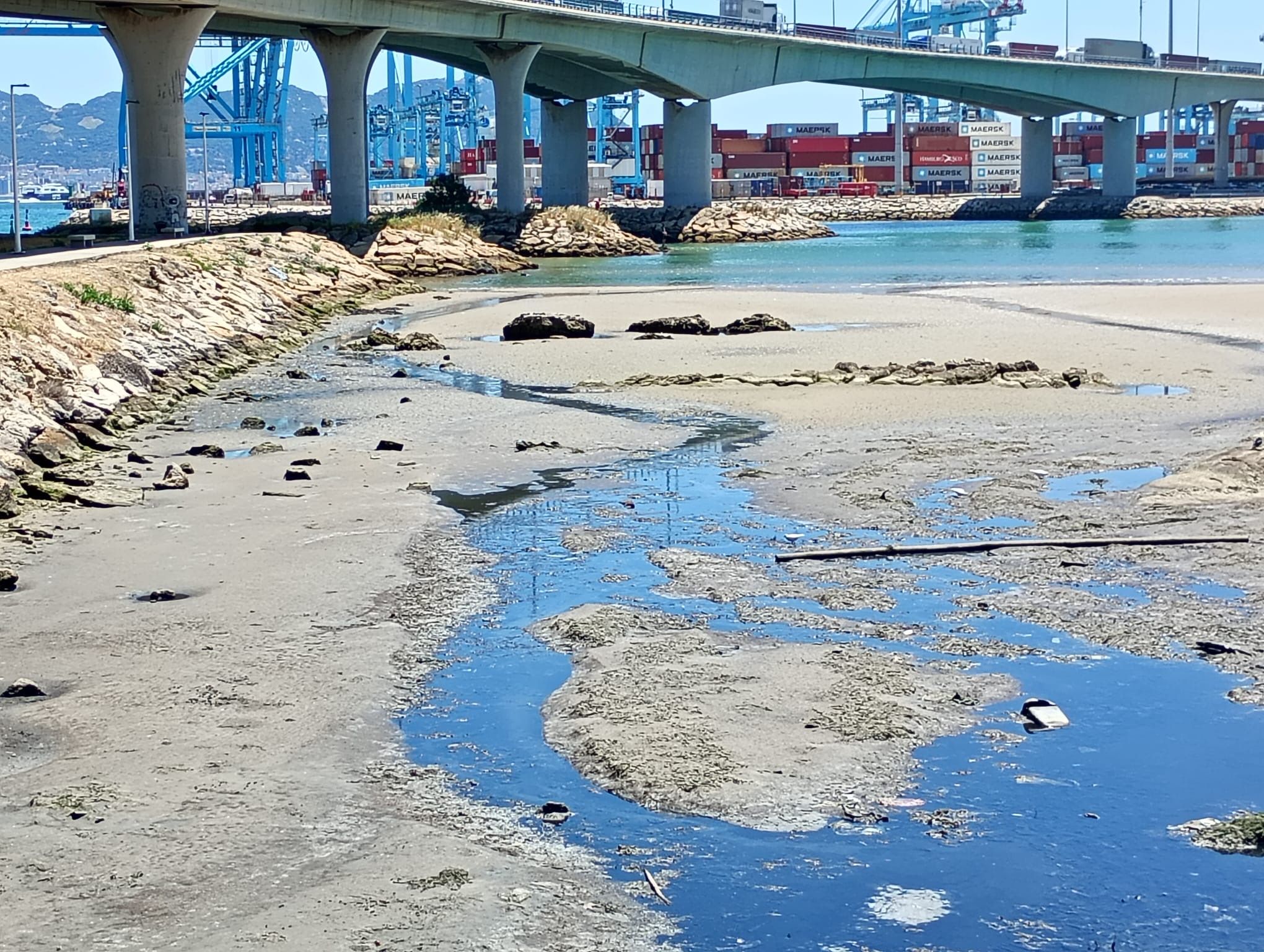 Imagen de Verdemar. Verdemar denuncia nuevos vertidos de aguas residuales en la playa del Rinconcillo 