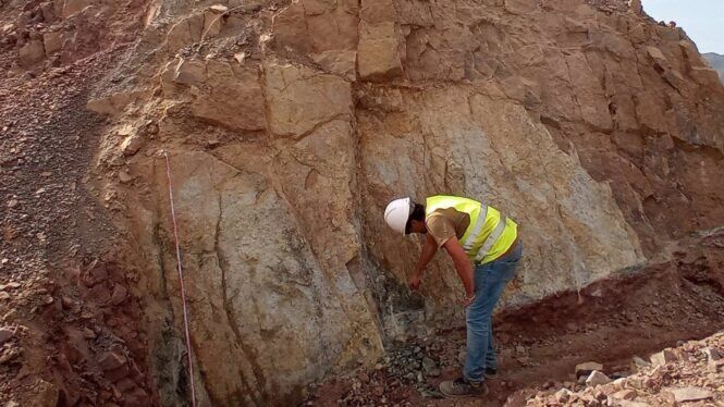 Málaga.- Investigadora de la UMA participa en una excavación que descubre restos fósiles de hace 200 millones de años