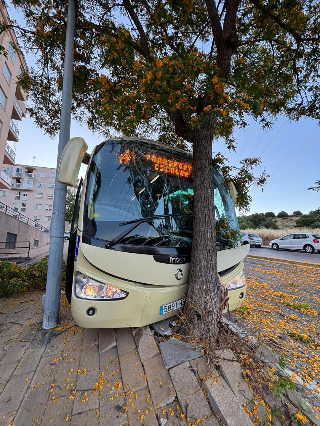 Un autobús escolar con más de 30 menores a bordo choca contra un árbol en Algeciras. Foto: @marinadrea Un autobús escolar con más de 30 menores a bordo choca contra un árbol en Algeciras. Foto: @marinadrea