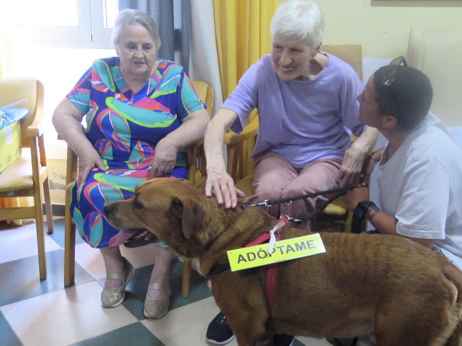 Visitas que dejan huella: mayores de Los Barrios y Tarifa disfrutan de la compañía de perros en adopción 