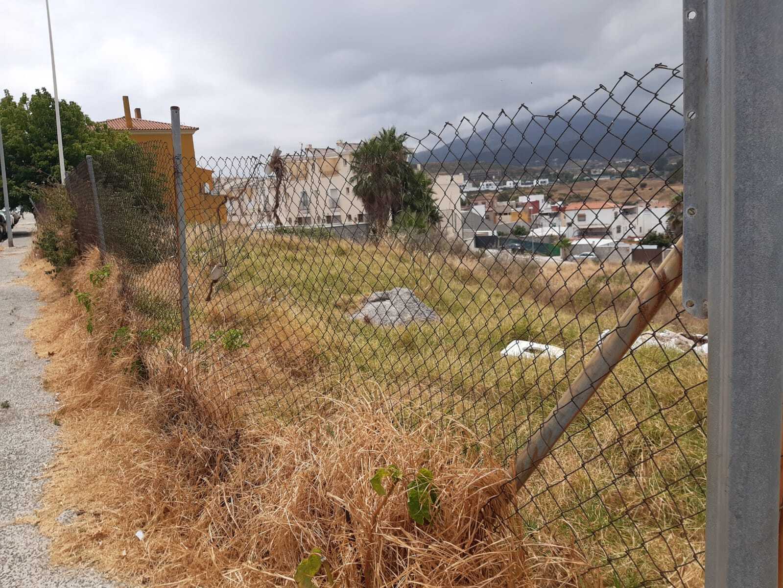 IU reclama un plan de choque ante el riesgo de incendios por la proliferación de pastos secos en Algeciras IU reclama un plan de choque ante el riesgo de incendios por la proliferación de pastos secos en Algeciras