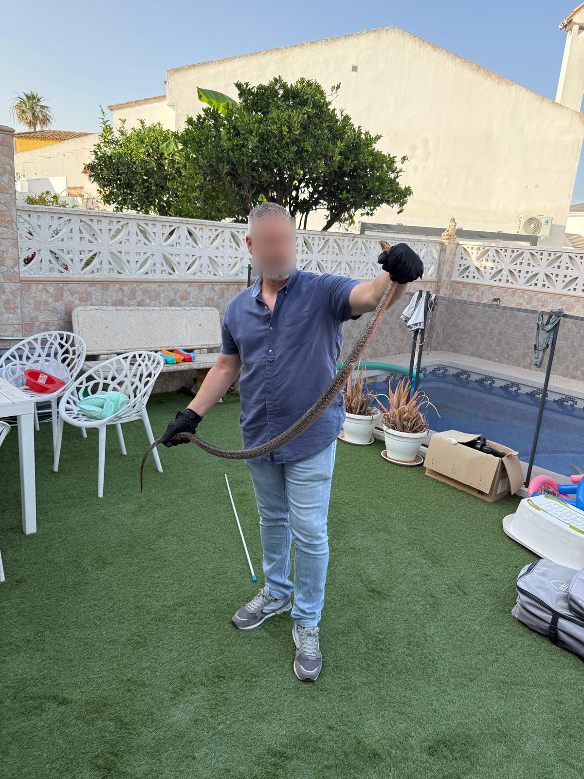 La Policía Local retira una serpiente de 1,70 metros de una vivienda de San García