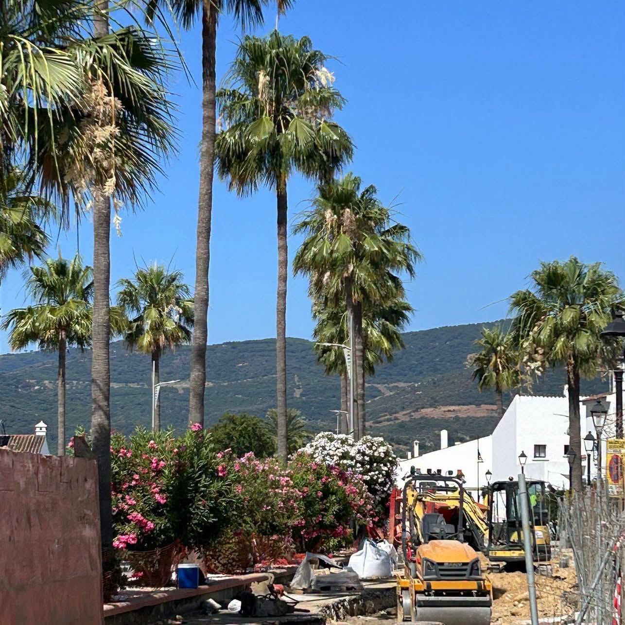 Castellar inicia el segundo tramo de la renovación del saneamiento en la Avenida de las Adelfas