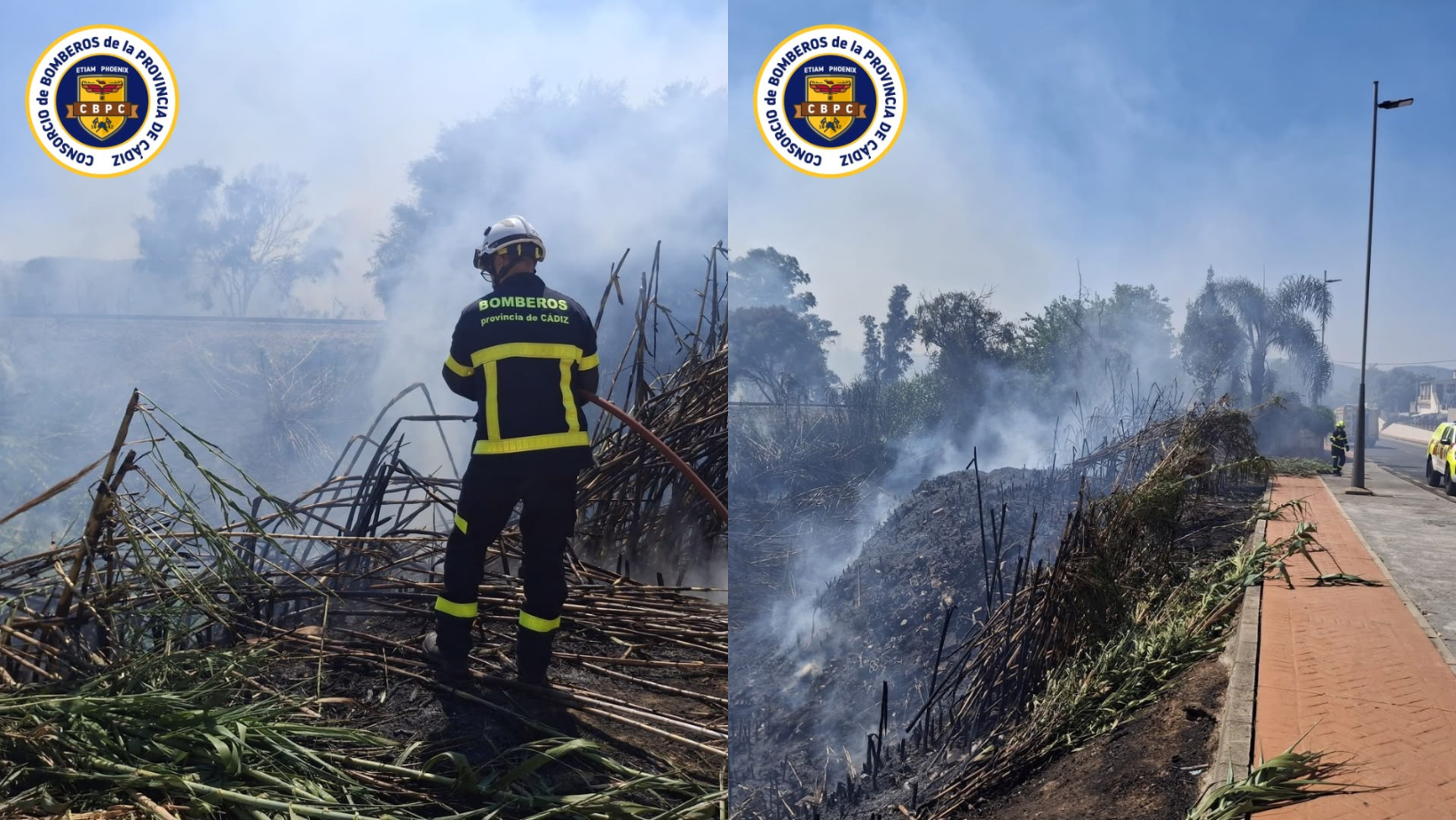 Incendio de vegetación urbana en Taraguilla obliga a movilizar a los servicios de emergencia Incendio de vegetación urbana en Taraguilla obliga a movilizar a los servicios de emergencia