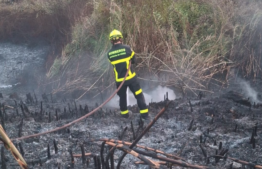Extinguido el incendio de vegetación urbana en Taraguilla tras afectar cerca de dos hectáreas
