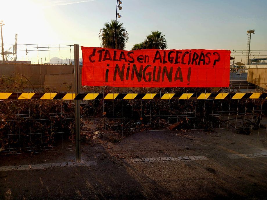 AGADEN denuncia la tala de adelfas de gran porte en la avenida Virgen del Carmen