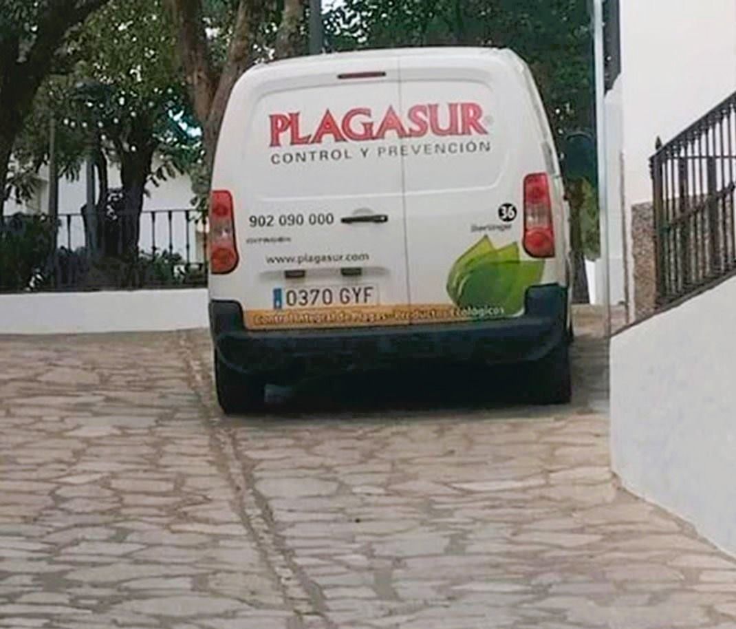 La Línea refuerza el control de plagas en los colegios durante el verano
