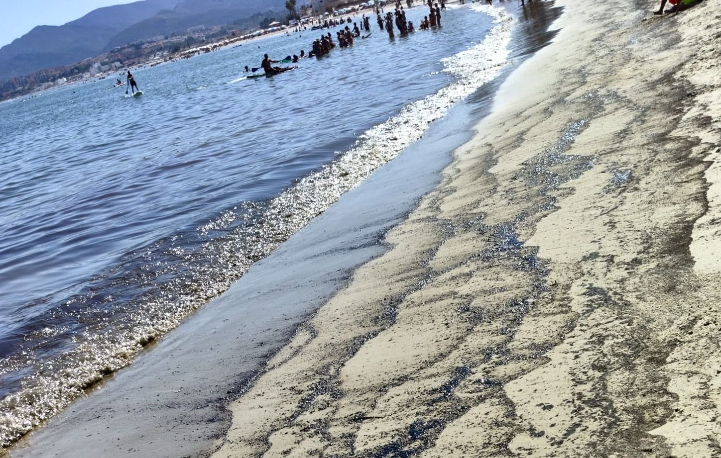 Verdemar denuncia ante Capitanía Marítima de Algeciras el vertido de fuel marino de Palmones
