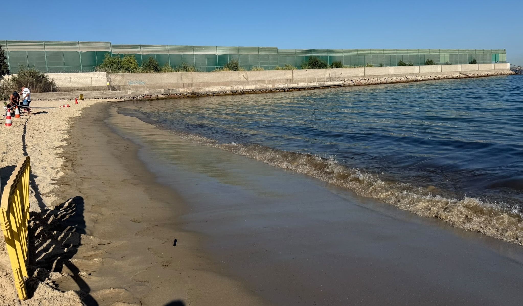 Perea pide al Ayuntamiento y a la Autoridad Portuaria "máxima transparencia" ante el vertido en la playa de Palmones
