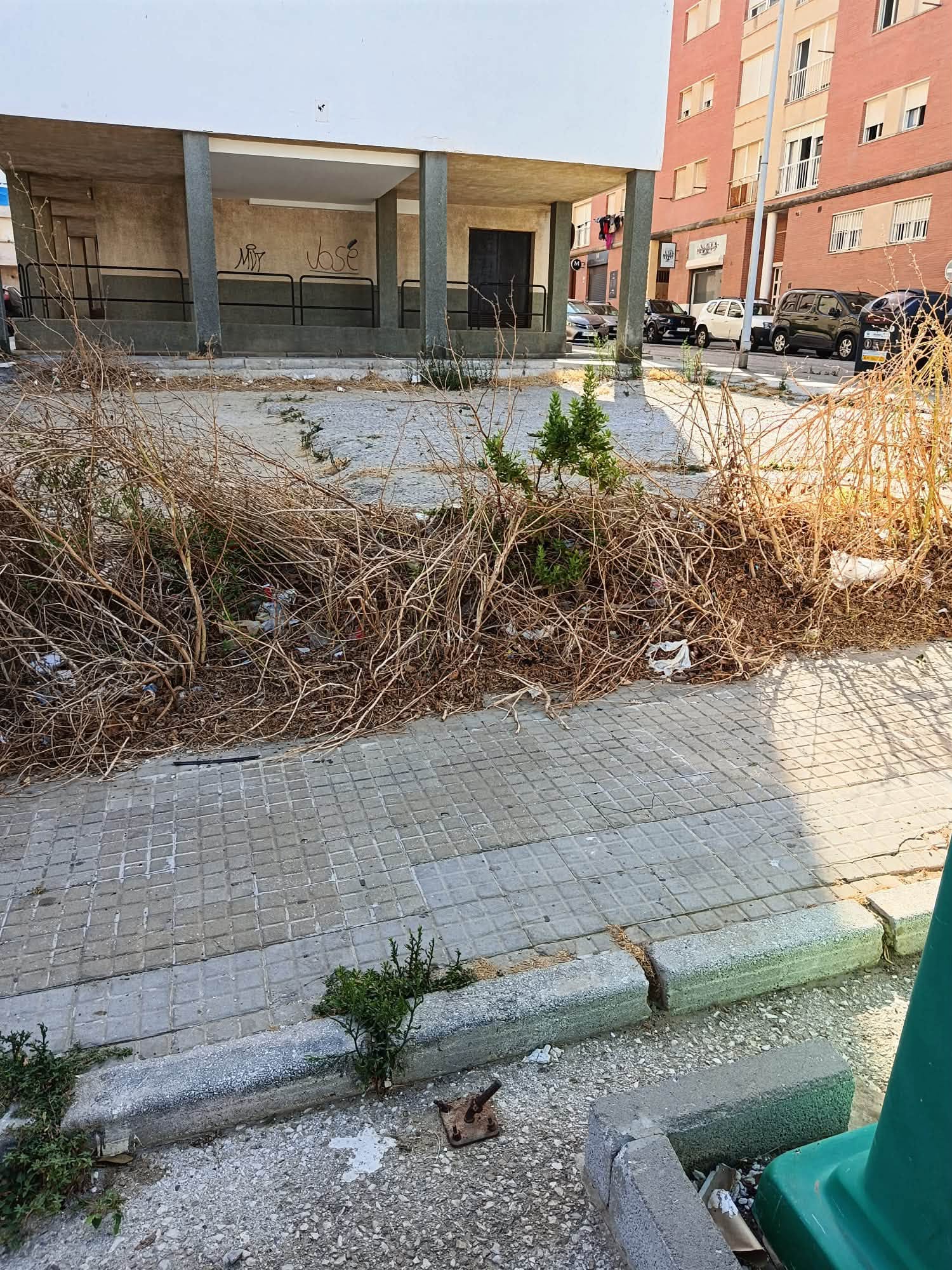 Vecinos de la Barriada del Cable de Tarifa denuncian con imágenes el abandono de sus calles Vecinos de la Barriada del Cable de Tarifa denuncian con imágenes el abandono de sus calles