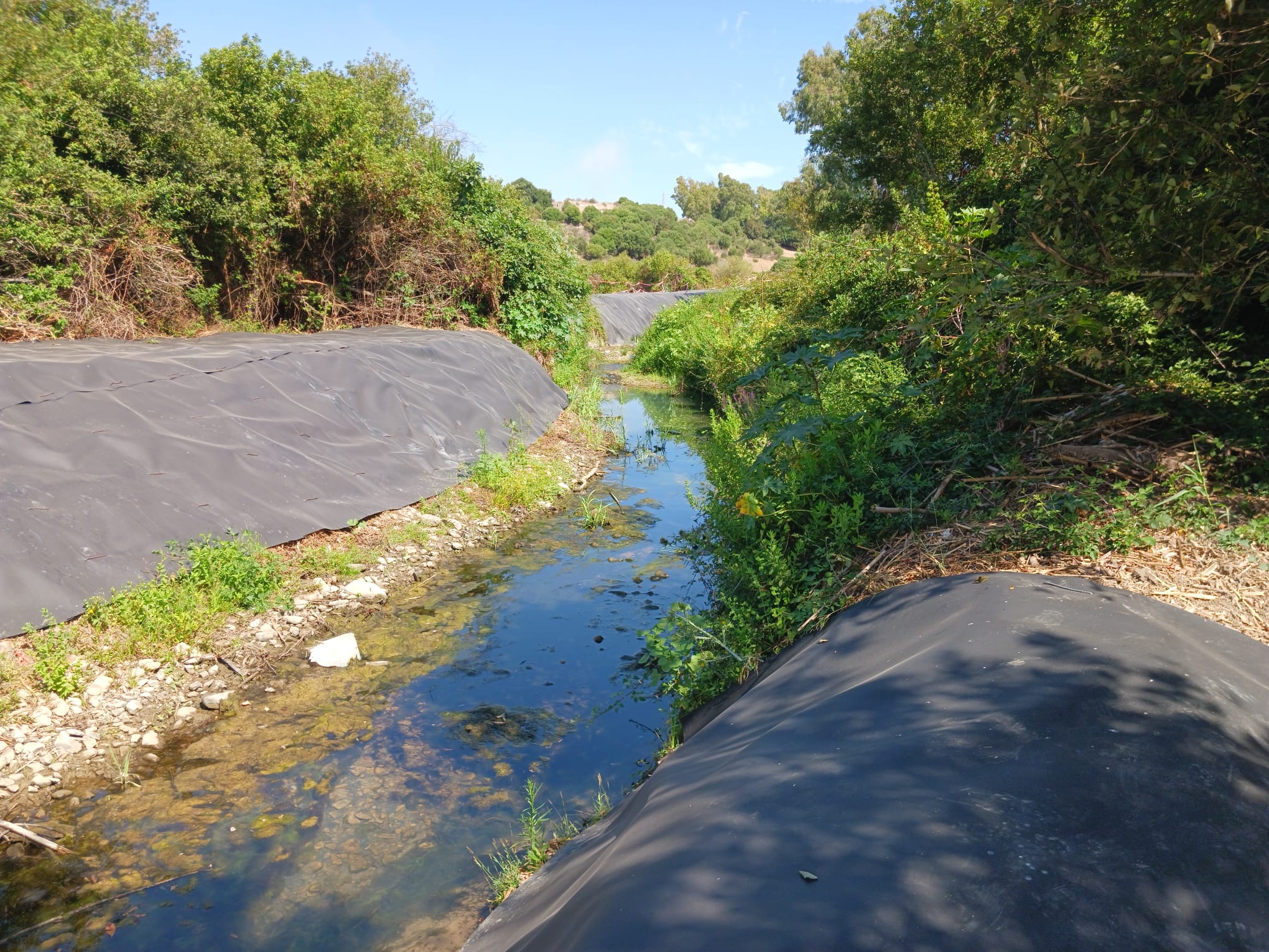 Ecologistas denuncian la plastificación de la ribera del río Pícaro Ecologistas denuncian la plastificación de la ribera del río Pícaro