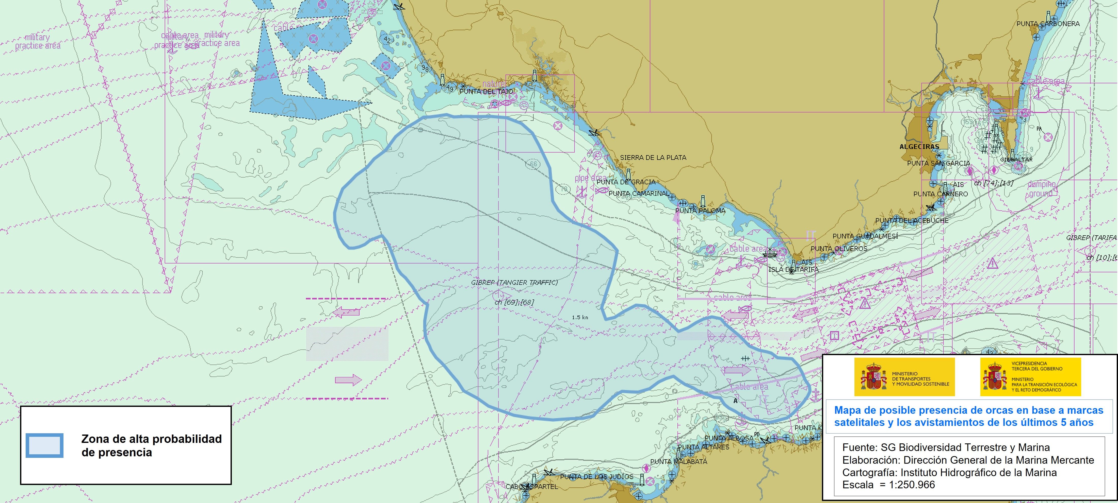 Zona de alta probabilidad de interacciones con orcas en el Golfo de Cádiz - El Estrecho Zona de alta probabilidad de interacciones con orcas en el Golfo de Cádiz - El Estrecho