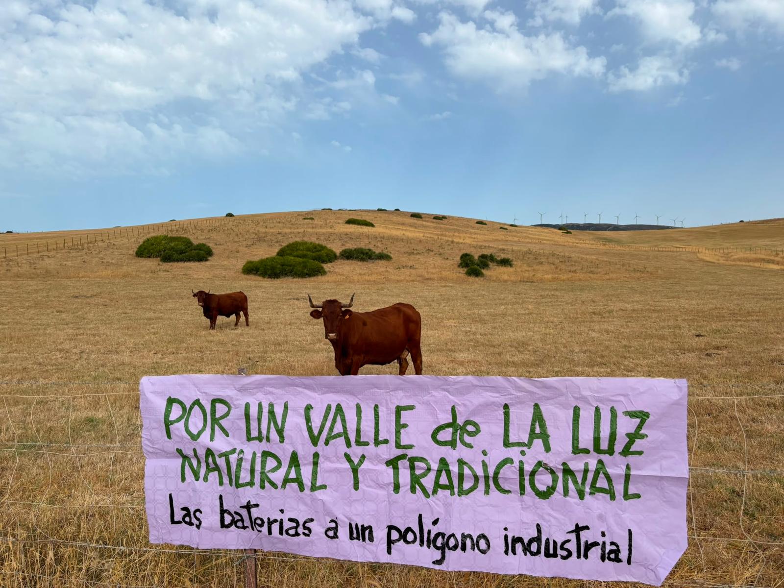 Imagen de Agaden. Agaden pide al Ayuntamiento de Tarifa que rechace el proyecto del Valle de la Luz aprobado por el Gobierno Imagen de Agaden. Agaden pide al Ayuntamiento de Tarifa que rechace el proyecto del Valle de la Luz aprobado por el Gobierno