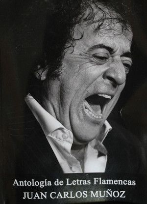 juancarlos-flamenco9 juancarlos-flamenco9