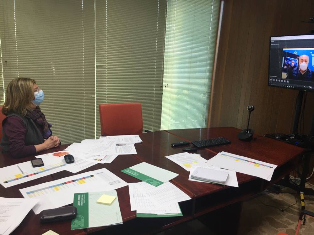 Reunion telematica Salud y alcaldes