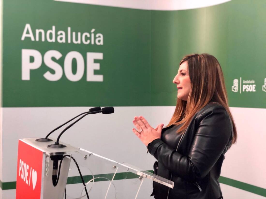 Cádiz.-Alcaldes del PSOE demandan más información a Salud de las medidas de contingencia al Covid y refuerzos sanitarios