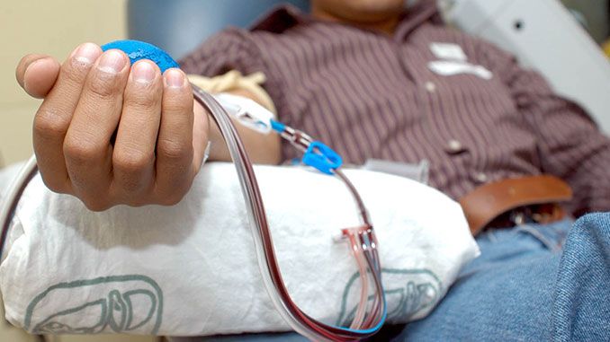 Imagen de archivo de una persona donando sangre. La campaña de donación de sangre 'verano solidario' llega a La Línea del 12 al 14 de agosto Imagen de archivo de una persona donando sangre. La campaña de donación de sangre 'verano solidario' llega a La Línea del 12 al 14 de agosto