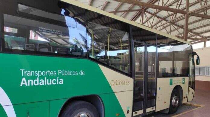 Autobus Comes La Linea
