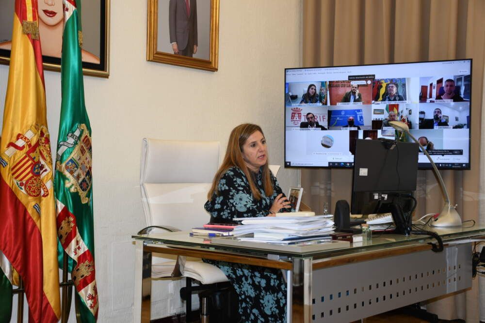 Videoconferencia con alcaldes del Campo de gibraltar