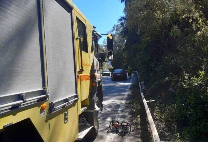 coche bomberos
