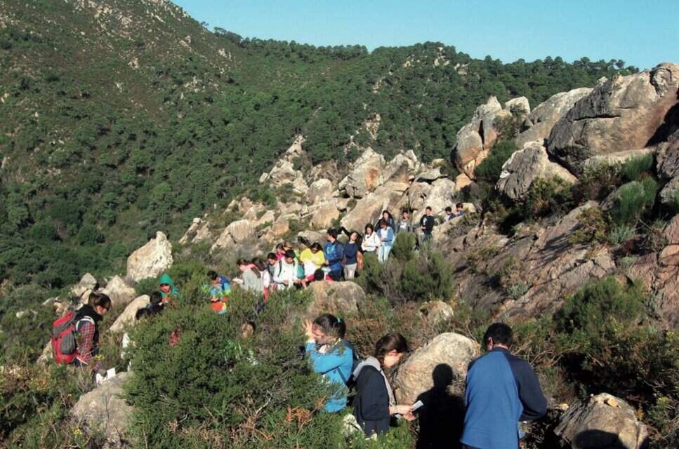 actividad educativa montes algeciras IECG