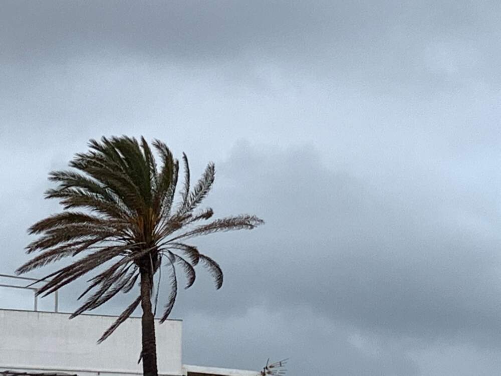 Viento en Algeciras