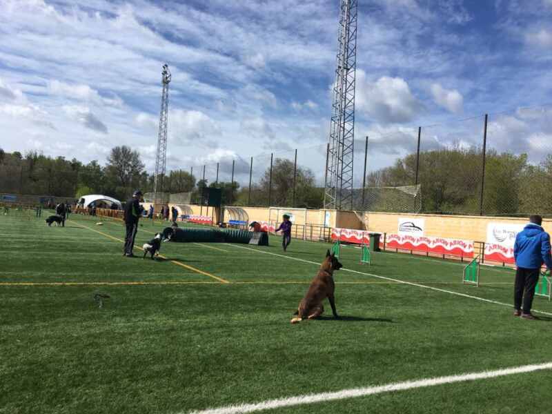 29497778_1593707750750449_3111439841445330688_n