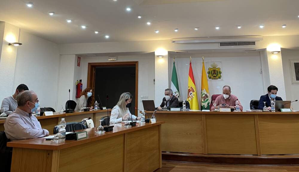 Pleno abril 2021