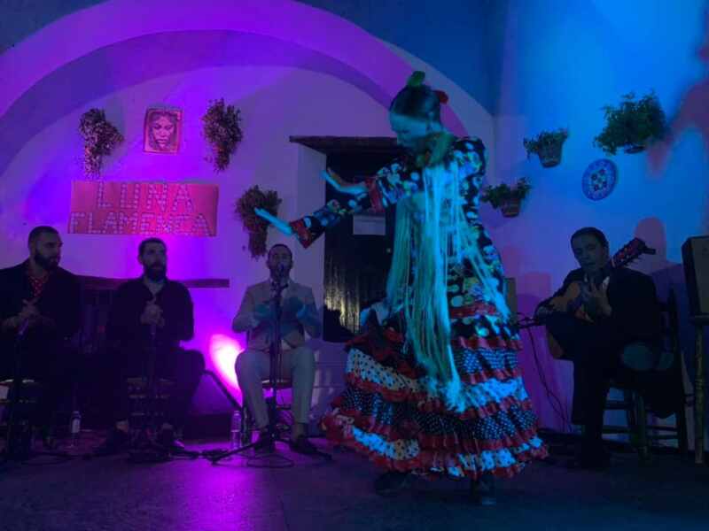 luna flamenca 4 luna flamenca 4