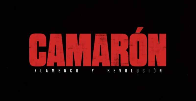 camarón camarón