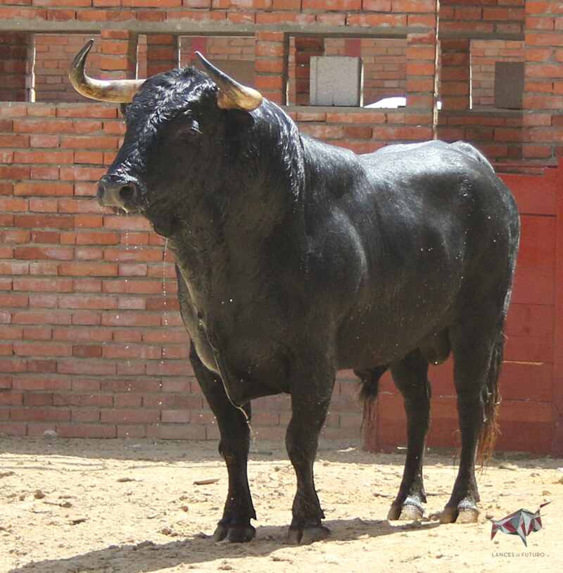 N-¦58-Torrealta-1 N-¦58-Torrealta-1