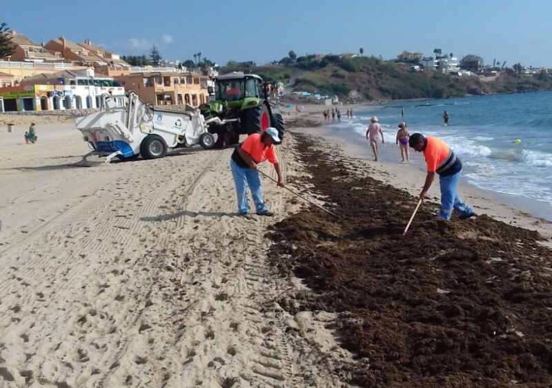 1-limpieza-playas-alga-01 1-limpieza-playas-alga-01