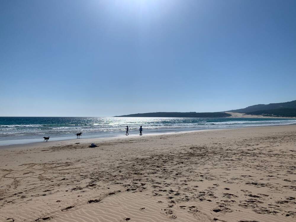 Playa Tarifa
