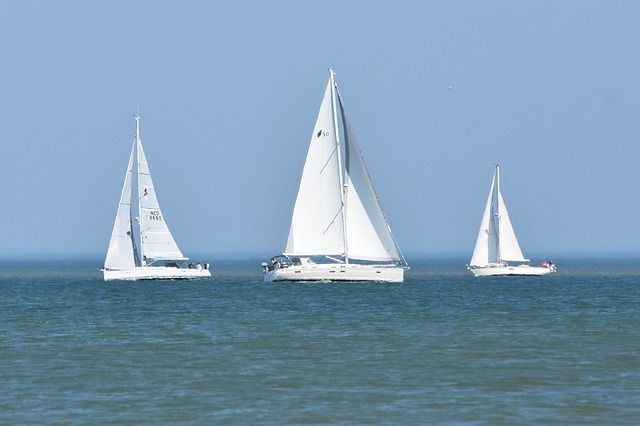 Vela Vela