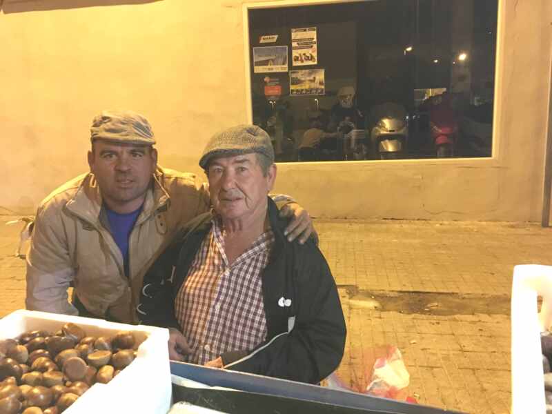 el lobito castañero el lobito castañero
