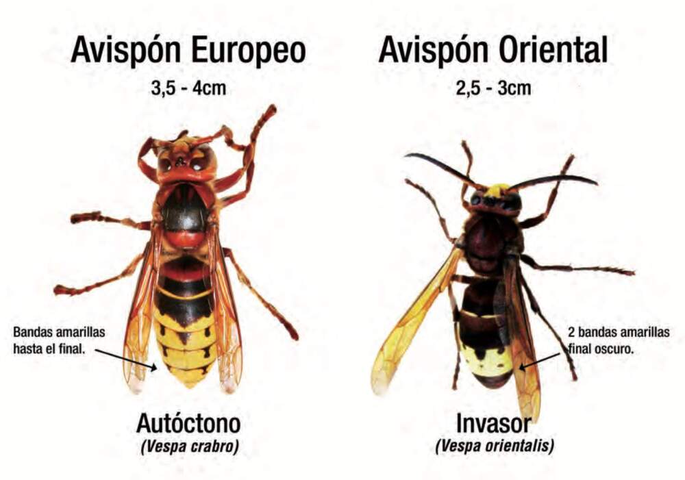 Captura de pantalla 2021-05-29 a las 19.38.18