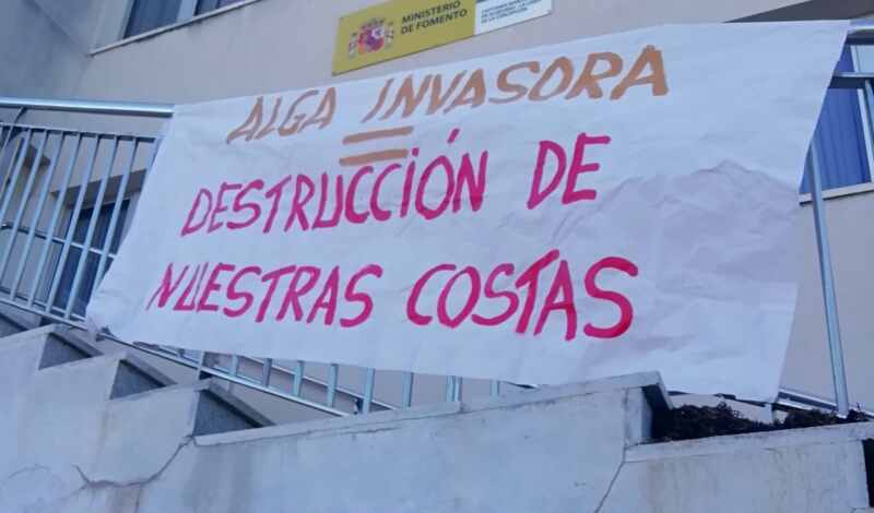 protesta algas